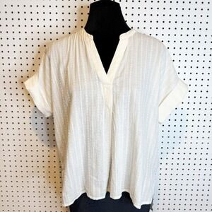 Madewell | Lakeline Popover Shirt in Clip-Stripe, Lighthouse NF247 Sz. Small